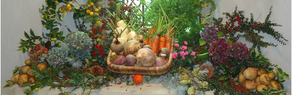 harvest